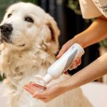 Šampon za pse za pravilnu njegu dlake i kože Šampon za pse